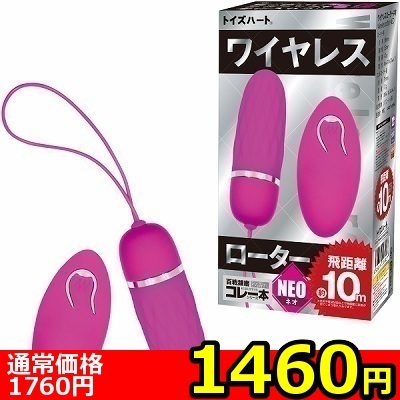 yPSUO~ʌzCX[^[@mdnllP_聄ij